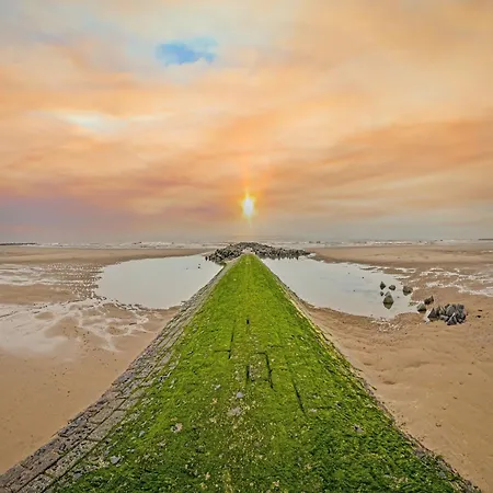 Newly Built On 1st Floor With Terrace