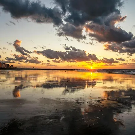 Newly Built On 1st Floor With Terrace דירה *